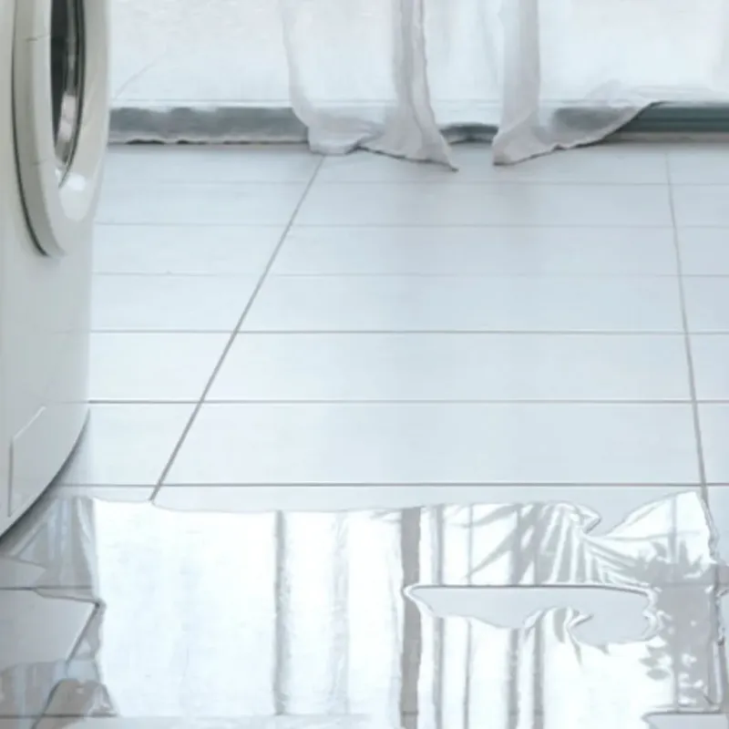 Appliance Leak Cleanup in Aromas, CA